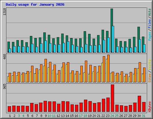 Daily usage for January 2026