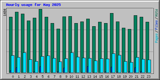 Hourly usage for May 2025