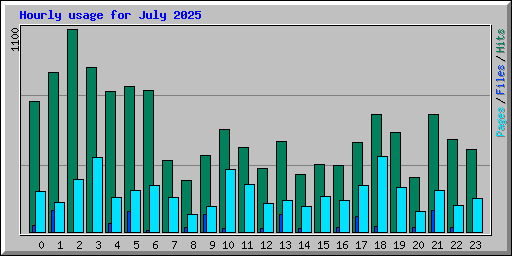 Hourly usage for July 2025
