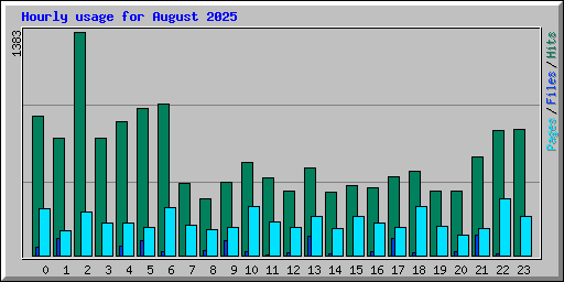 Hourly usage for August 2025