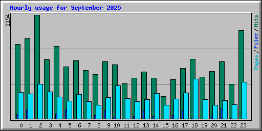 Hourly usage for September 2025