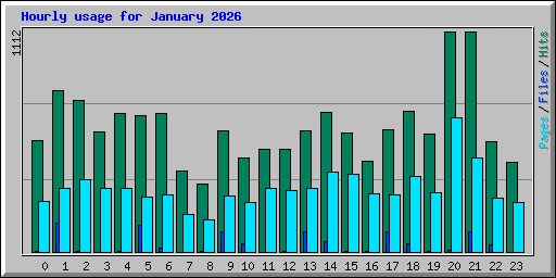 Hourly usage for January 2026
