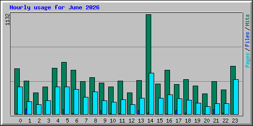 Hourly usage for June 2026